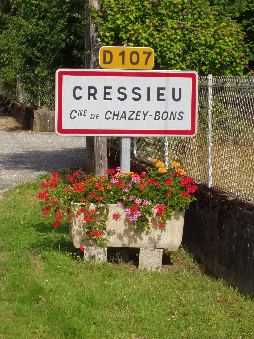 decouvrir-presentation-cressieu - chazey-bons